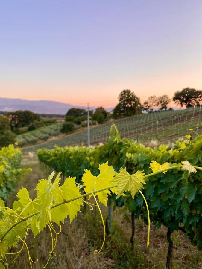 PalianoDonna Vittori - Borgo Agricolo公寓式酒店 外观 照片
