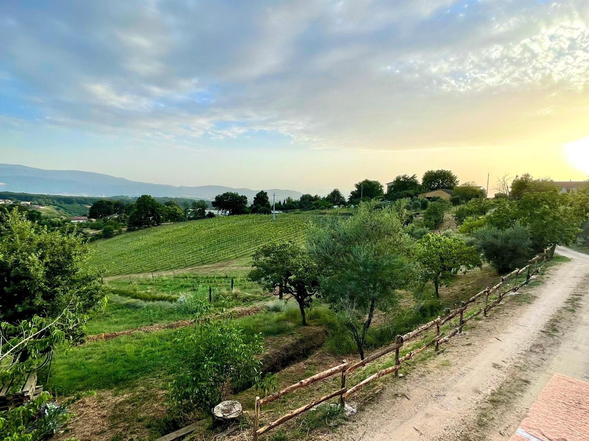 PalianoDonna Vittori - Borgo Agricolo公寓式酒店 外观 照片